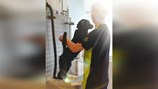 Buddy-2