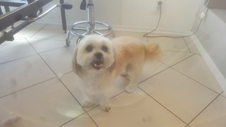 20190503_122254